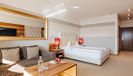 Double room Burggrafenamt